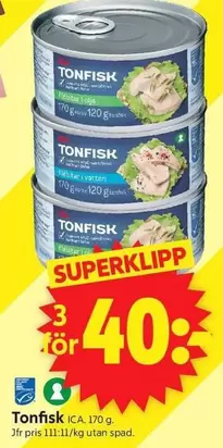 Tonfisk