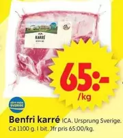 Benfri karré