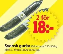 Svensk gurka