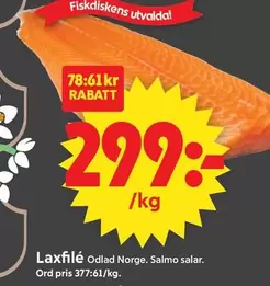 Laxfilé