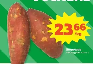 Sötpotatis