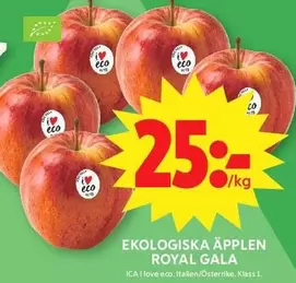 EKOLOGISKA ÄPPLEN ROYAL GALA