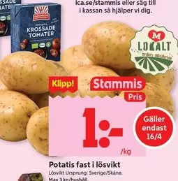 Potatis fast i lösvikt