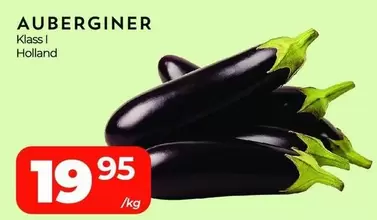 AUBERGINER