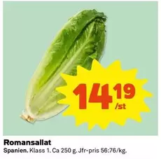 Romansallat