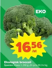 EKO - Ekologisk broccoli