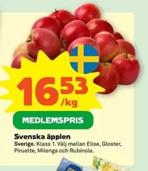 Svenska äpplen