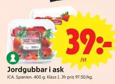 Jordgubbar
