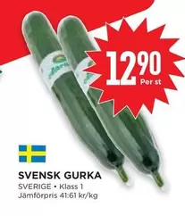 SVENSK GURKA