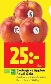 EKO - Ekologiska äpplen ROYAL GALA