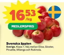 Svenska äpplen