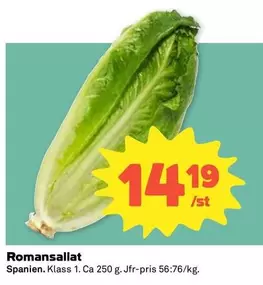 Romansallat