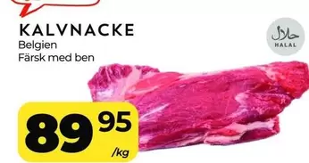 KALVNACKE Belgien Färsk med ben