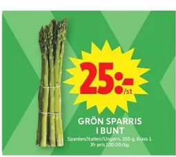 GRÖN SPARRIS
