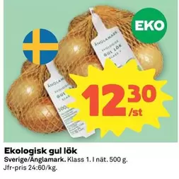 EKO - Ekologisk gul lök