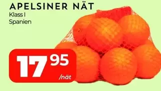 APELSINER Nät