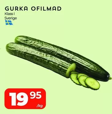GURKA OFILMAD
