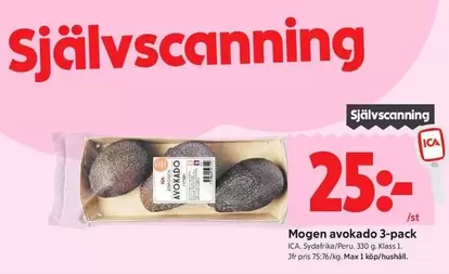 Mogen avokado 3-pack
