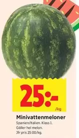 Minivattenmeloner