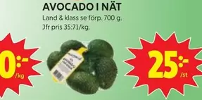 AVOCADO I NÄT