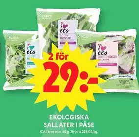EKOLOGISKA SALLATER I PÅSE
