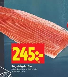 Regnbåglaxfilé