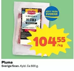Scan - Pluma