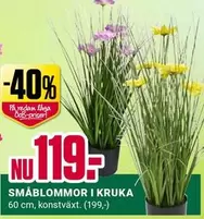 SMÅBLOMMOR I KRUKA