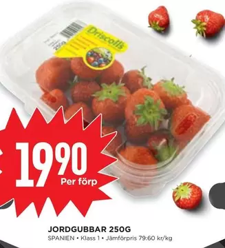 Jordgubbar