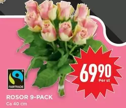 fairtrade - ROSOR 9-PACK