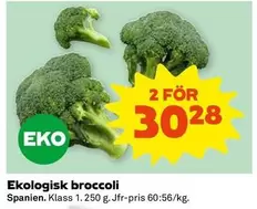 EKO - Ekologisk broccoli