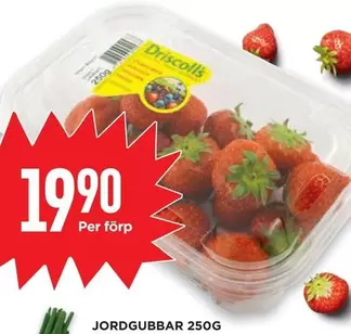 Jordgubbar