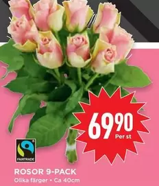fairtrade - ROSOR 9-PACK