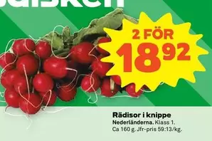 Rädisor i knippe