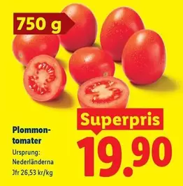 Plommon-tomater