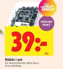 Blåbär