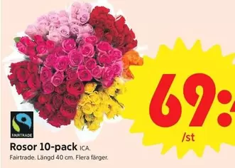 fairtrade - Rosor 10-pack