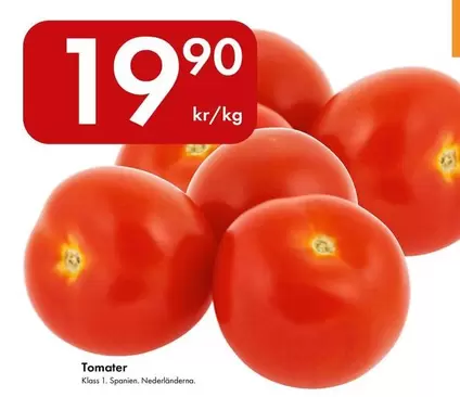 Tomater