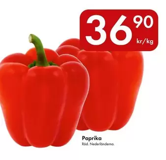Paprika