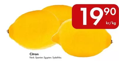 Citron