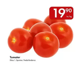 Tomater