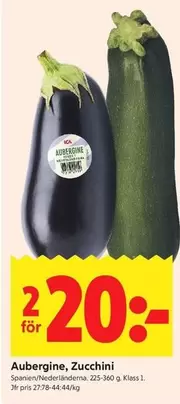 Aubergine, Zucchini