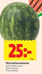 Minivattenmeloner