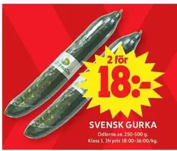 SVENSK GURKA