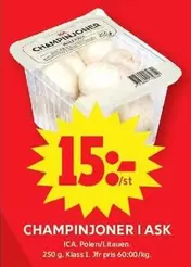 CHAMPINJONER I ASK
