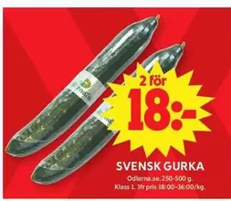 SVENSK GURKA