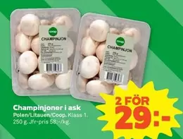 Coop - Champinjoner i ask
