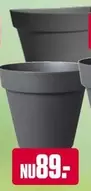 Flower Pot