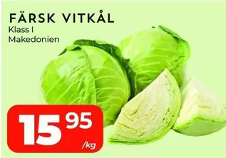 FÄRSK VITKÅL