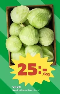 Vitkål
